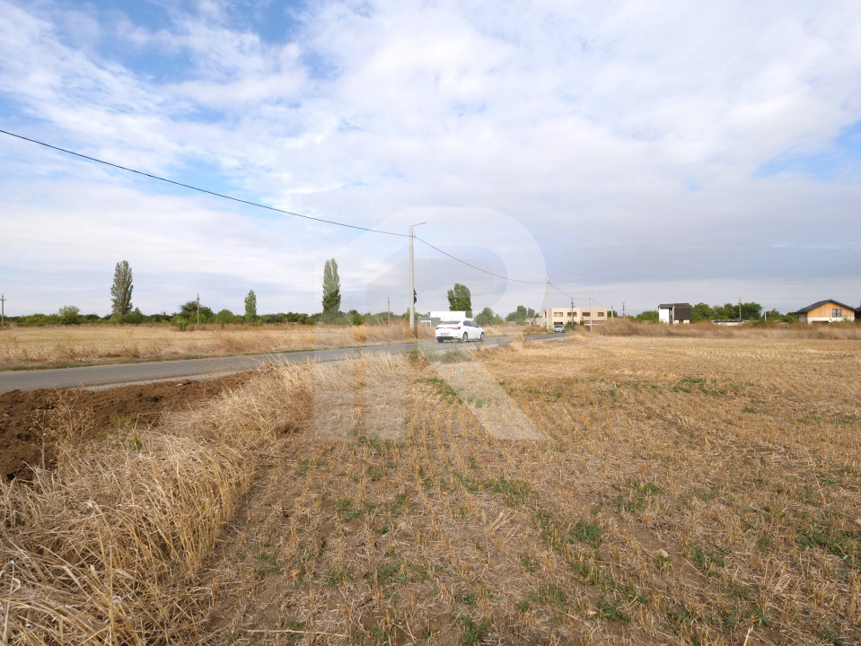 LOTURI PENTRU CASA - 420mp + 89mp drum - Otopeni, Ilfov - IN CURS DE AUTORIZARE 